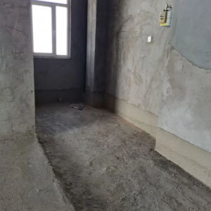 仁泰国际毛坯265平带储藏室160万