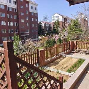 莱茵小镇一楼带院