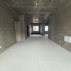 东昇文苑3室2卫带储藏室带储藏室