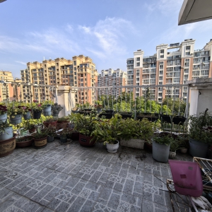 丽景名都顶加阁174平