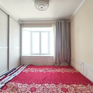 莱茵小镇电梯顶加阁