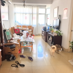 鲸园实验双学区房南昌街