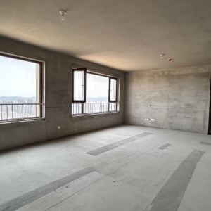 售望府公馆26楼199平298万