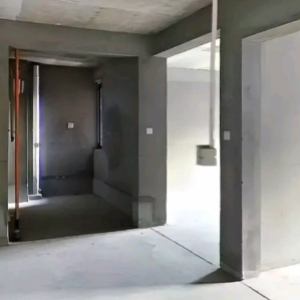 城里中学 朗廷 次新房