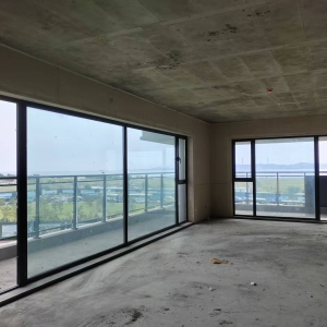 中海金线鼎 看海大平层住宅