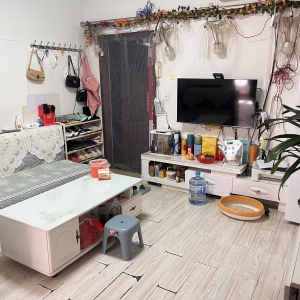 鲸园实验