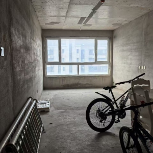 佳尚府 两室毛坯 带储藏室