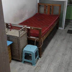 东发园林