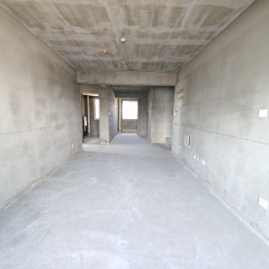 艺海国际毛坯3室