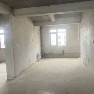 东发一品雅苑复式